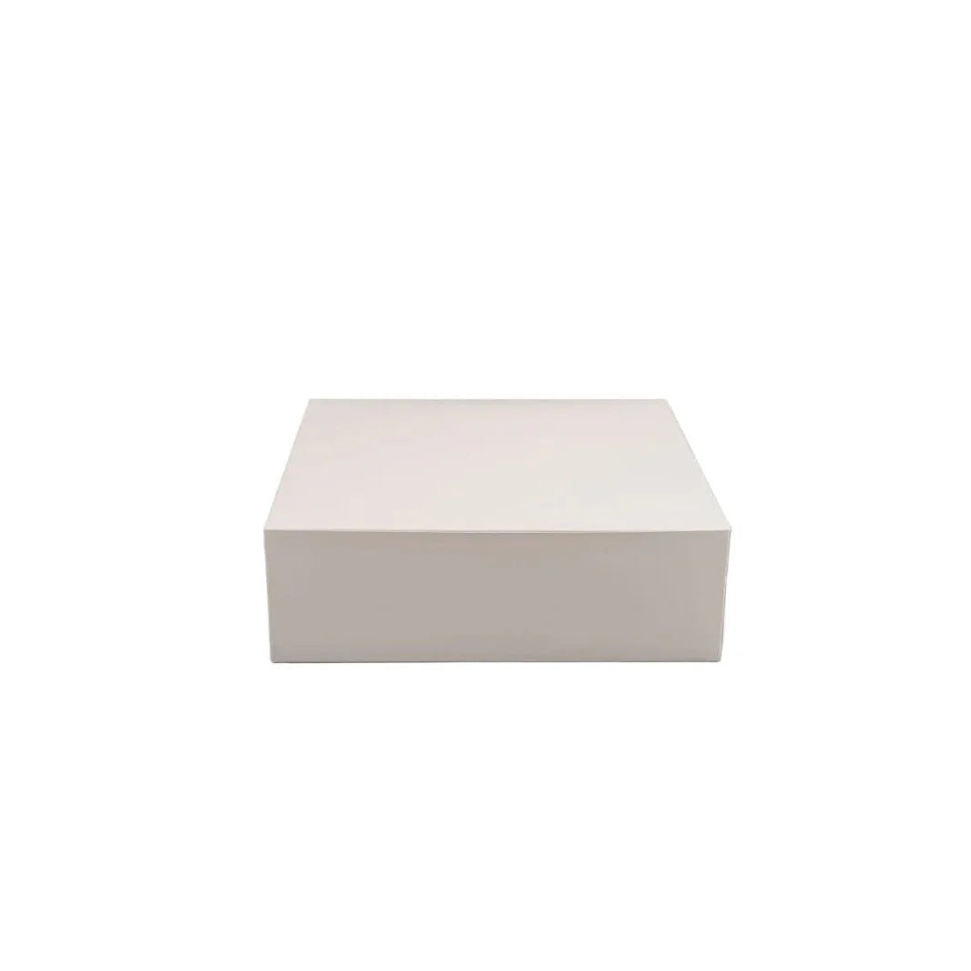100x Gebaksdoos Karton 25x25x8 cm