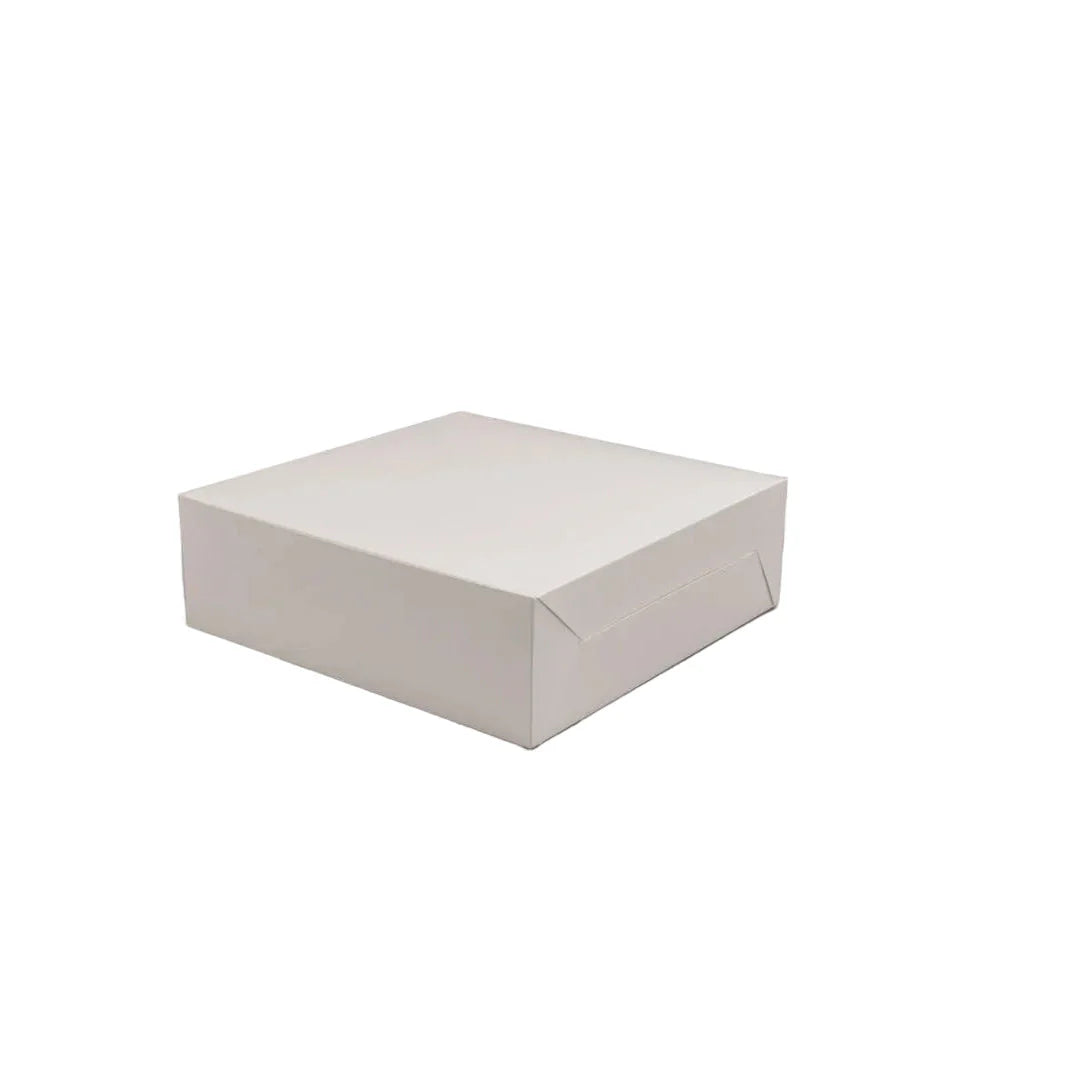 100x Gebaksdoos Karton 25x25x8 cm