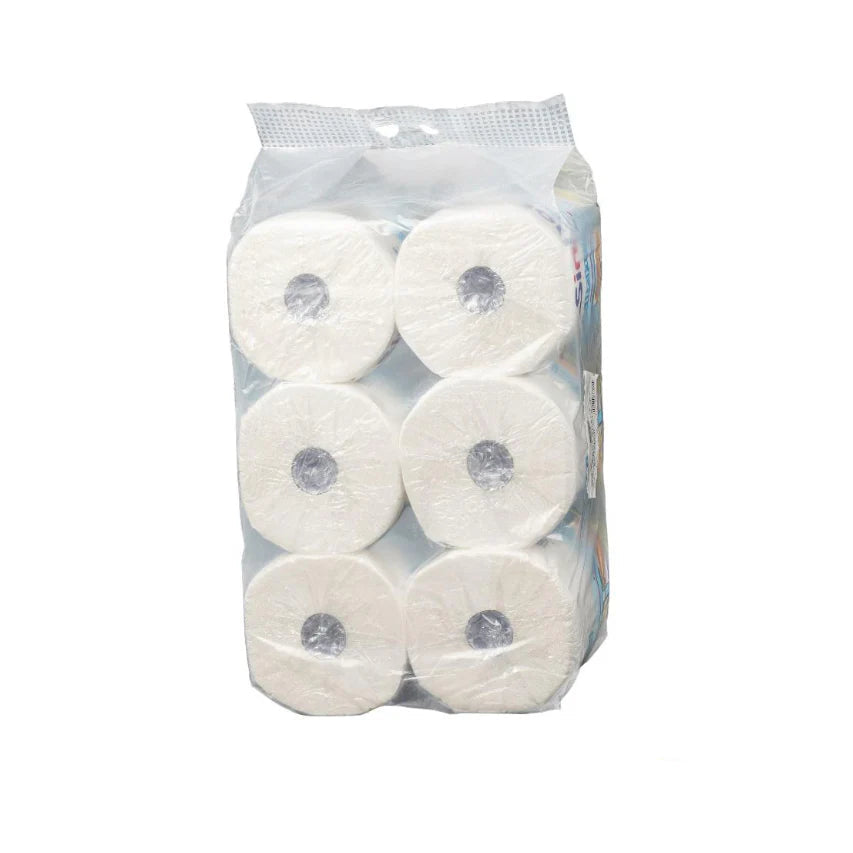 Handdoekrol - Poetsrol - Midi - 2laags - 6 rollen schoonmaak papier - hygiene papier